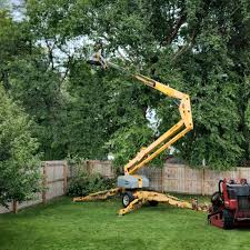 Best Tree Health Inspection  in Lyons, KS